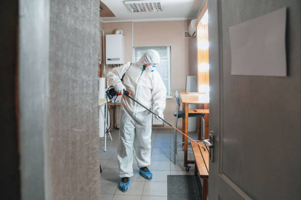 Best Comprehensive Air Testing for Mold Contaminants  in Grantville, GA