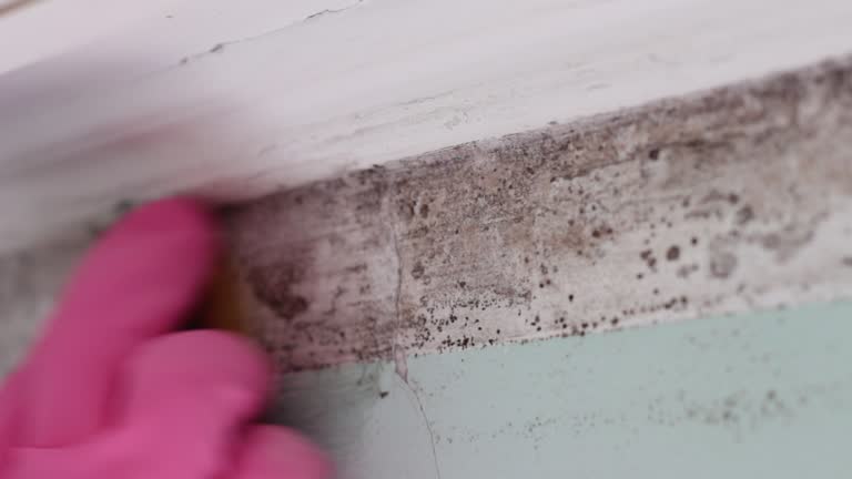 Best Air Quality Testing for Mold Spores  in Grantville, GA